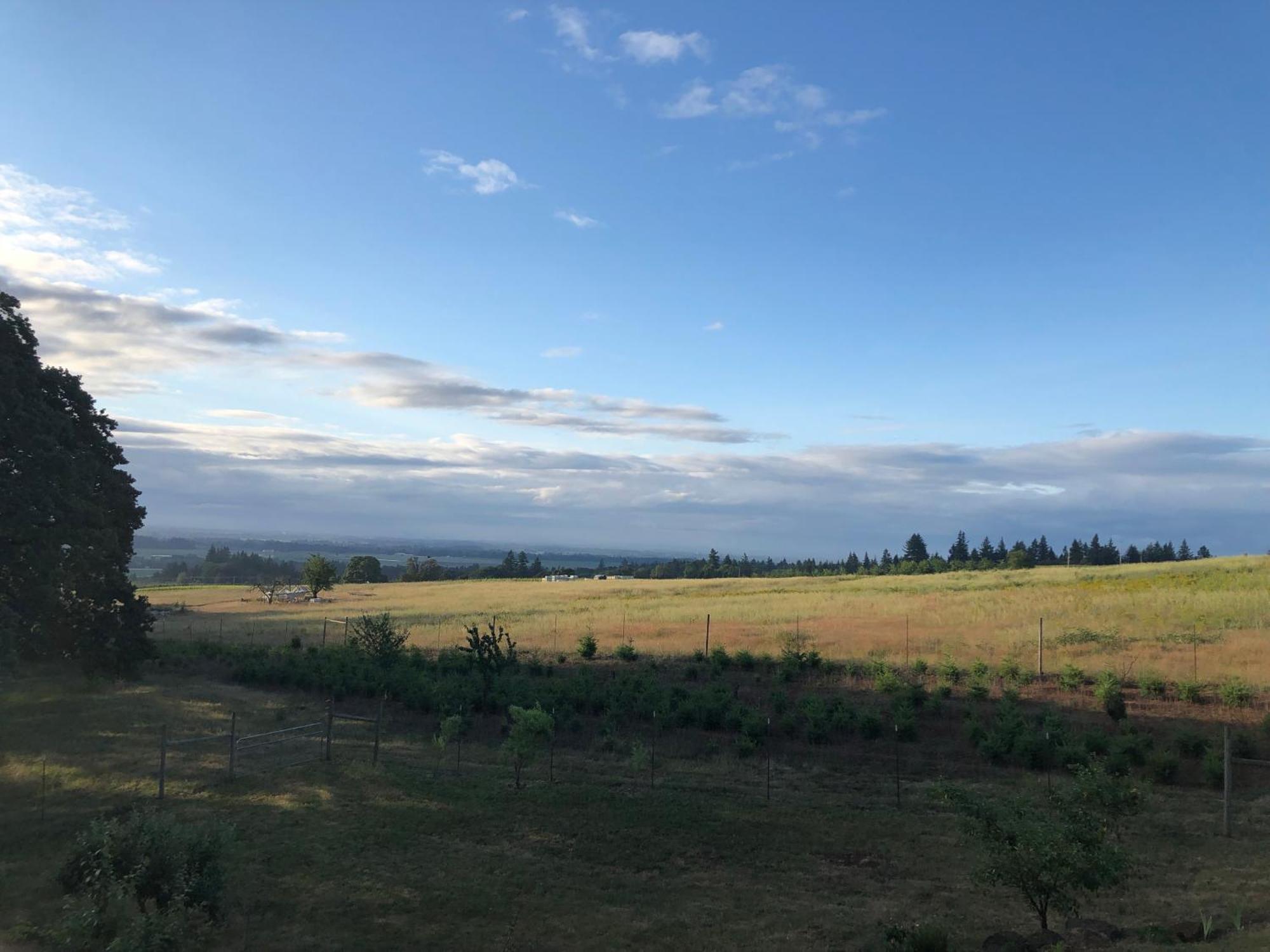 2 Bedroom Suite: Views, Private Entrance, Evchgr Amity Buitenkant foto